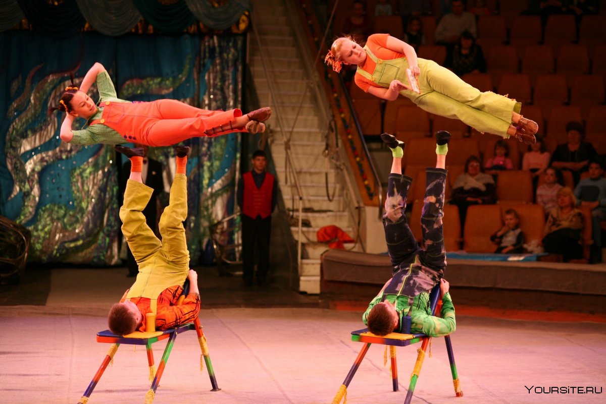 Акробаты под куполом цирка