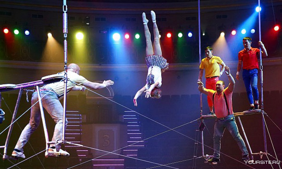 Акробаты в цирке