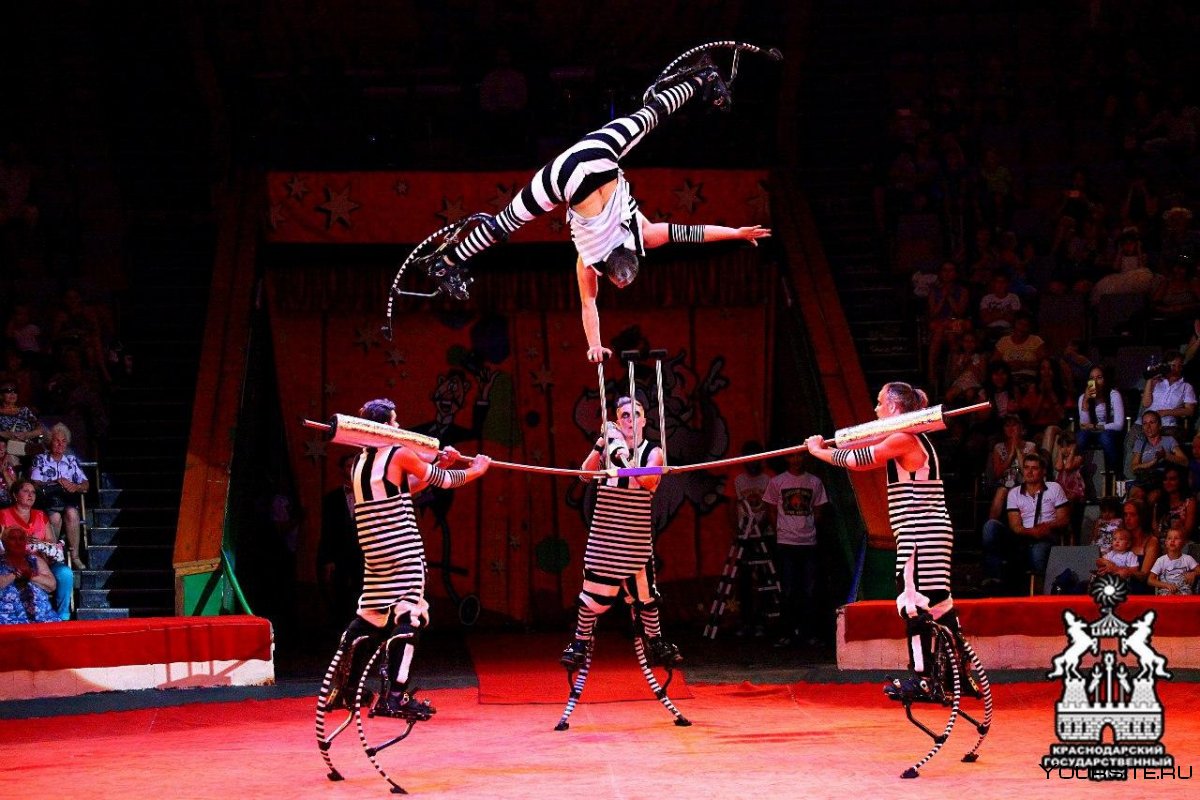 Акробаты на арене цирка
