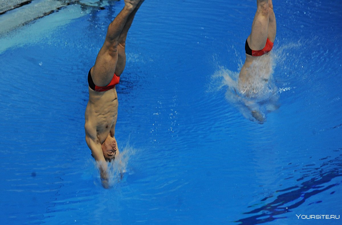 Андреа спендолини прыжки в воду