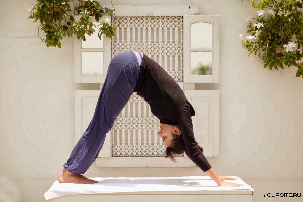 Врикшасана йога Айенгара