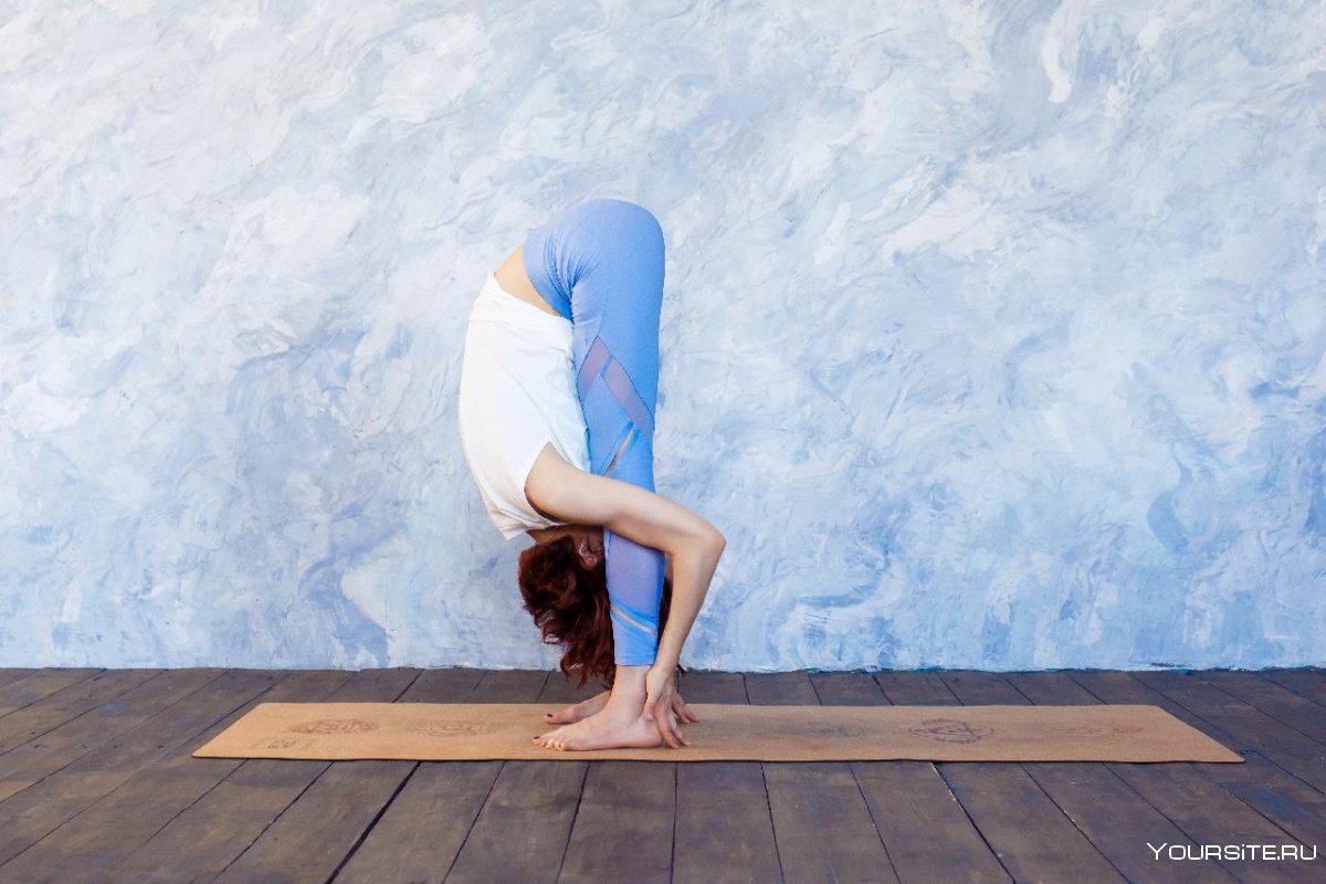 Йога Айенгара асаны