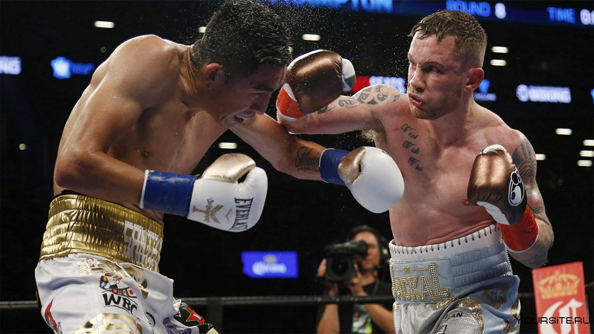 Тайсон Фьюри чемпион WBC