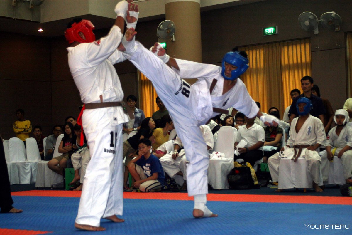 Гогита Аркания карате WKF