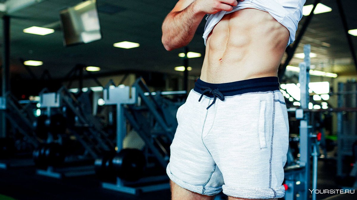 Рельеф мышц