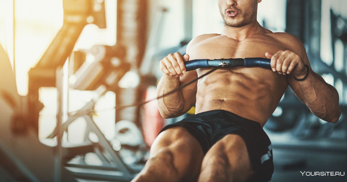 Мышечная масса