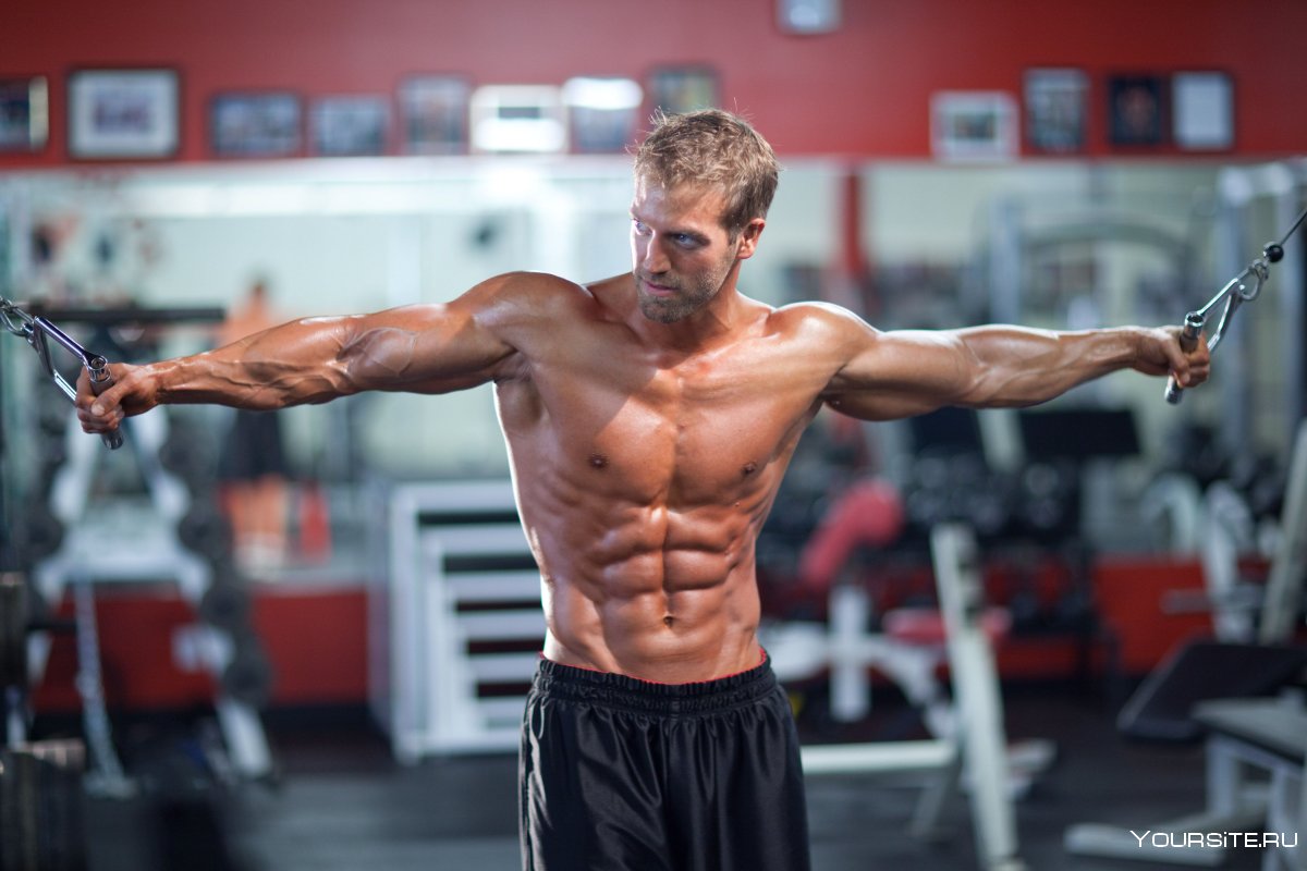 Спортивные девушки