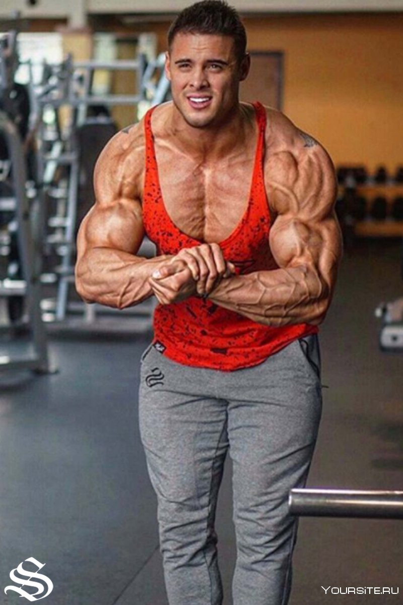 Спортивное питание и спортсмен