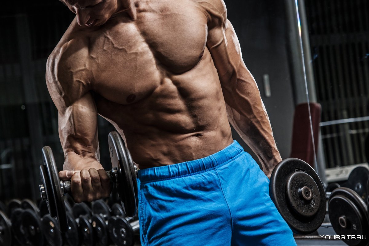 Мышечная масса