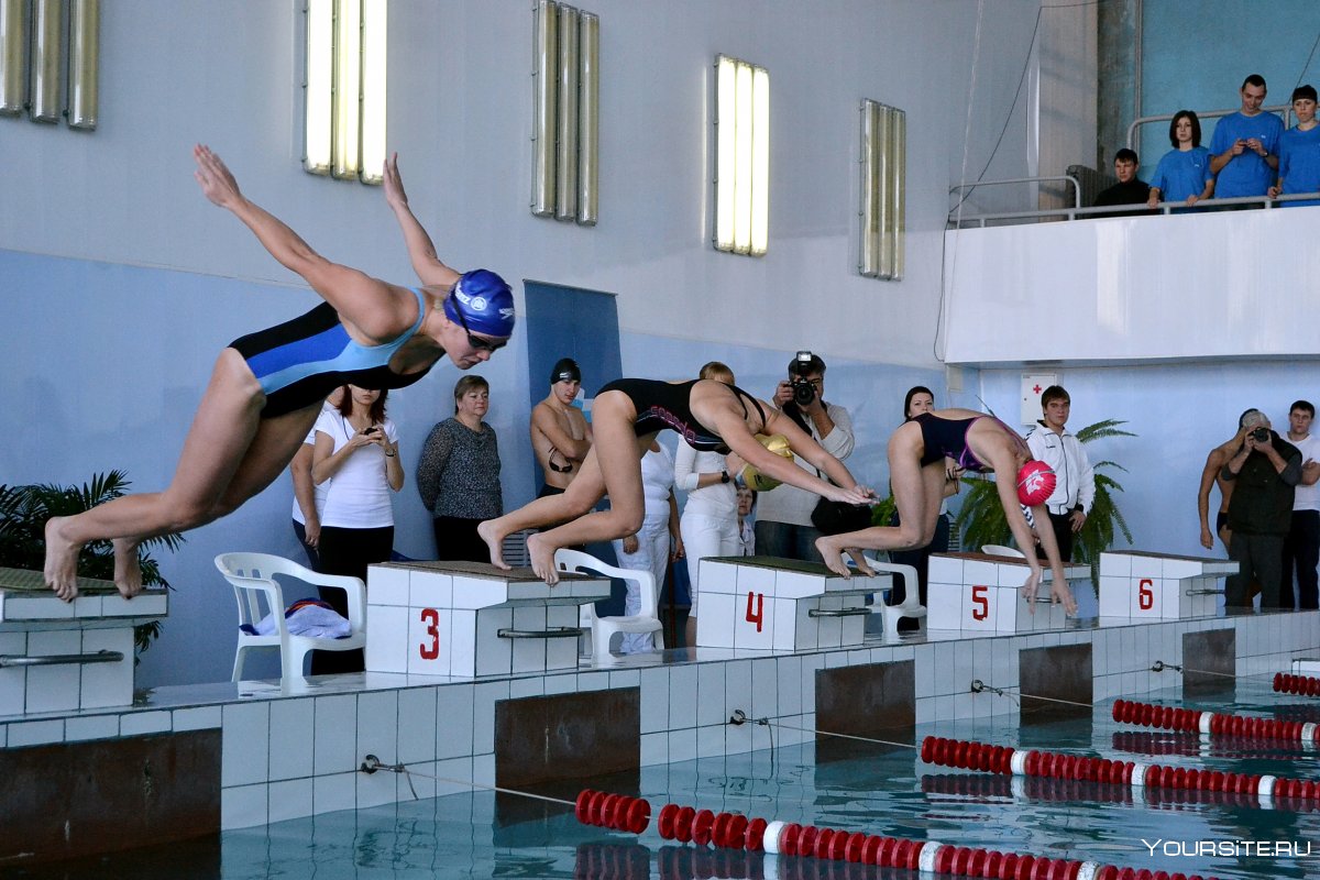 Старт на соревнованиях по плаванию