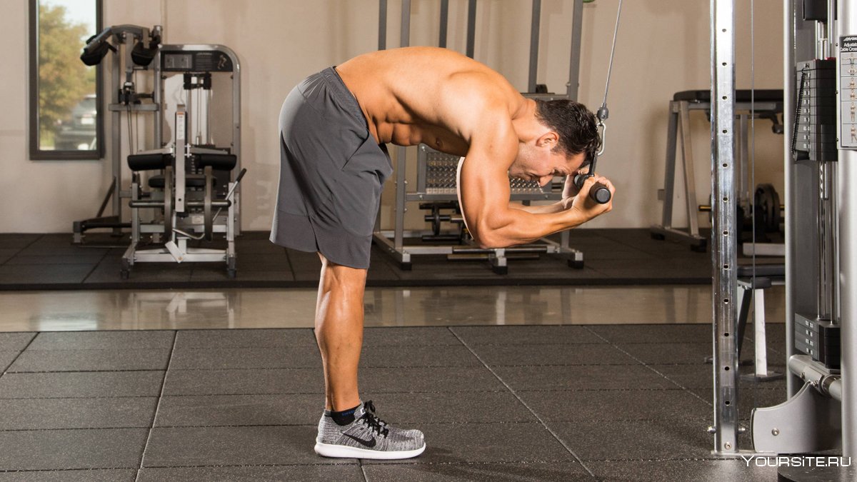 Тяга верхнего блока узким параллельным хватом