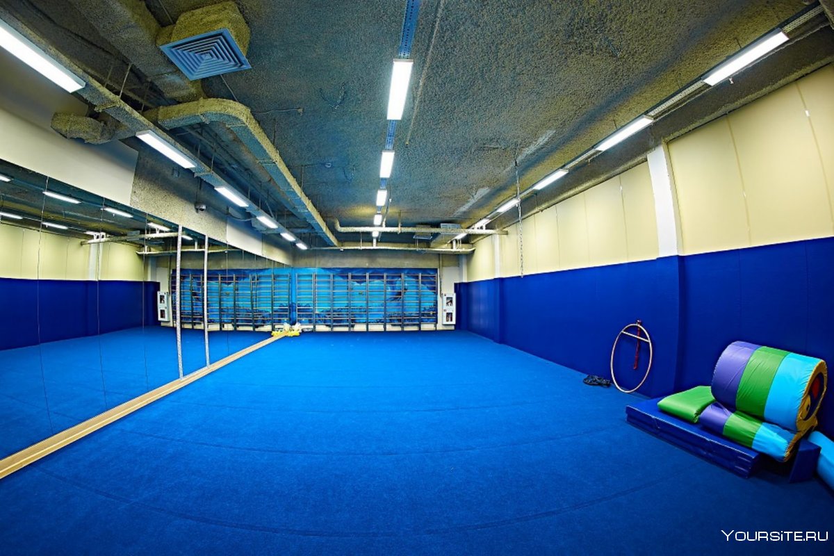 Зал спортивной гимнастики Новогорск