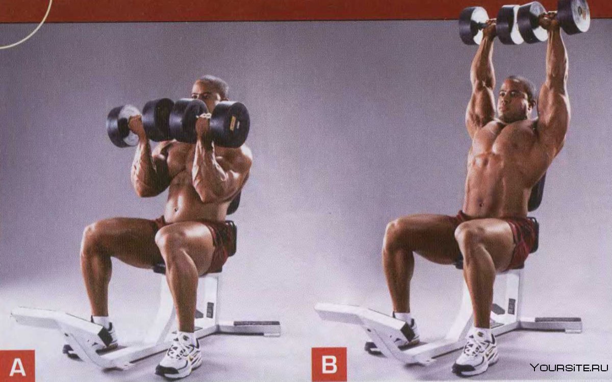 Incline Chest Press техника