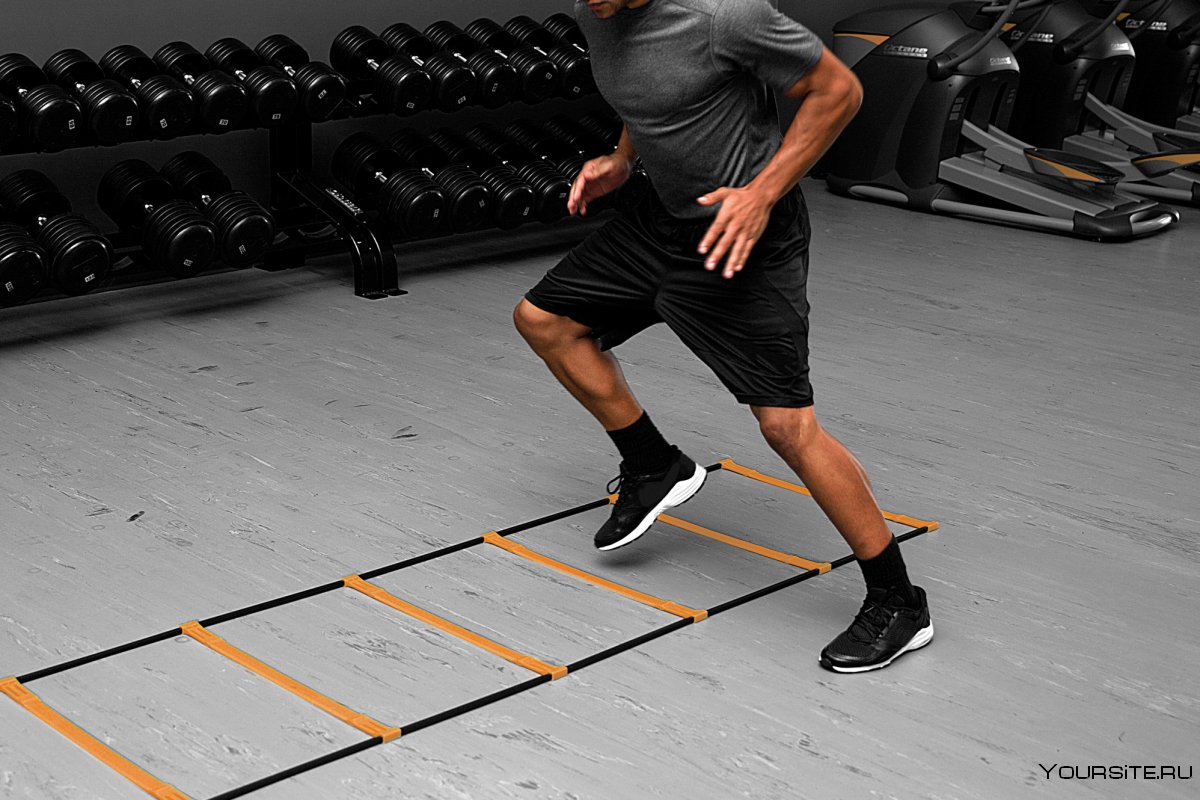 Speed Agility Training