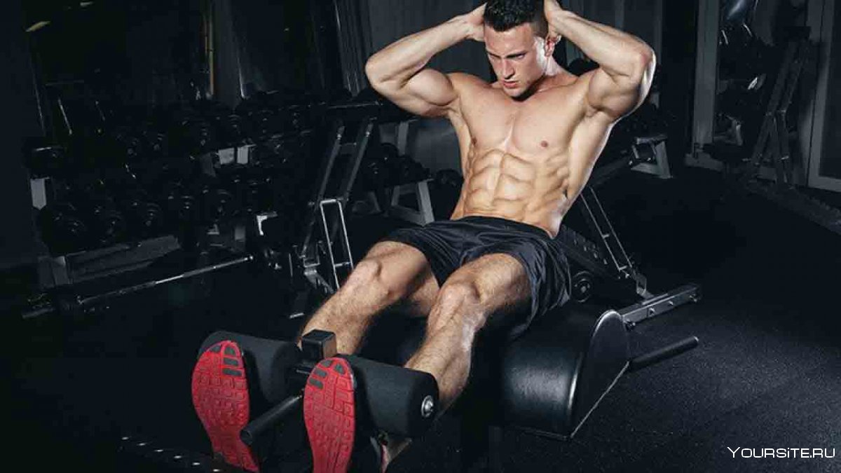8 Pack ABS