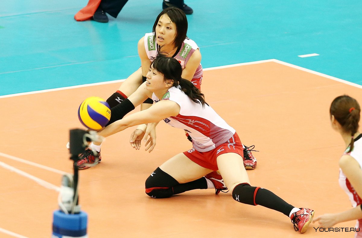 Женская сборная Японии по волейболу
