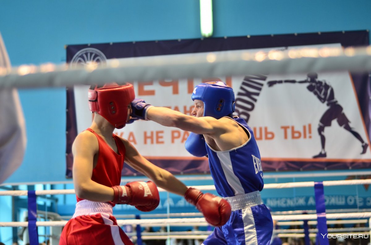 Детский турнир по боксу Узбекистан