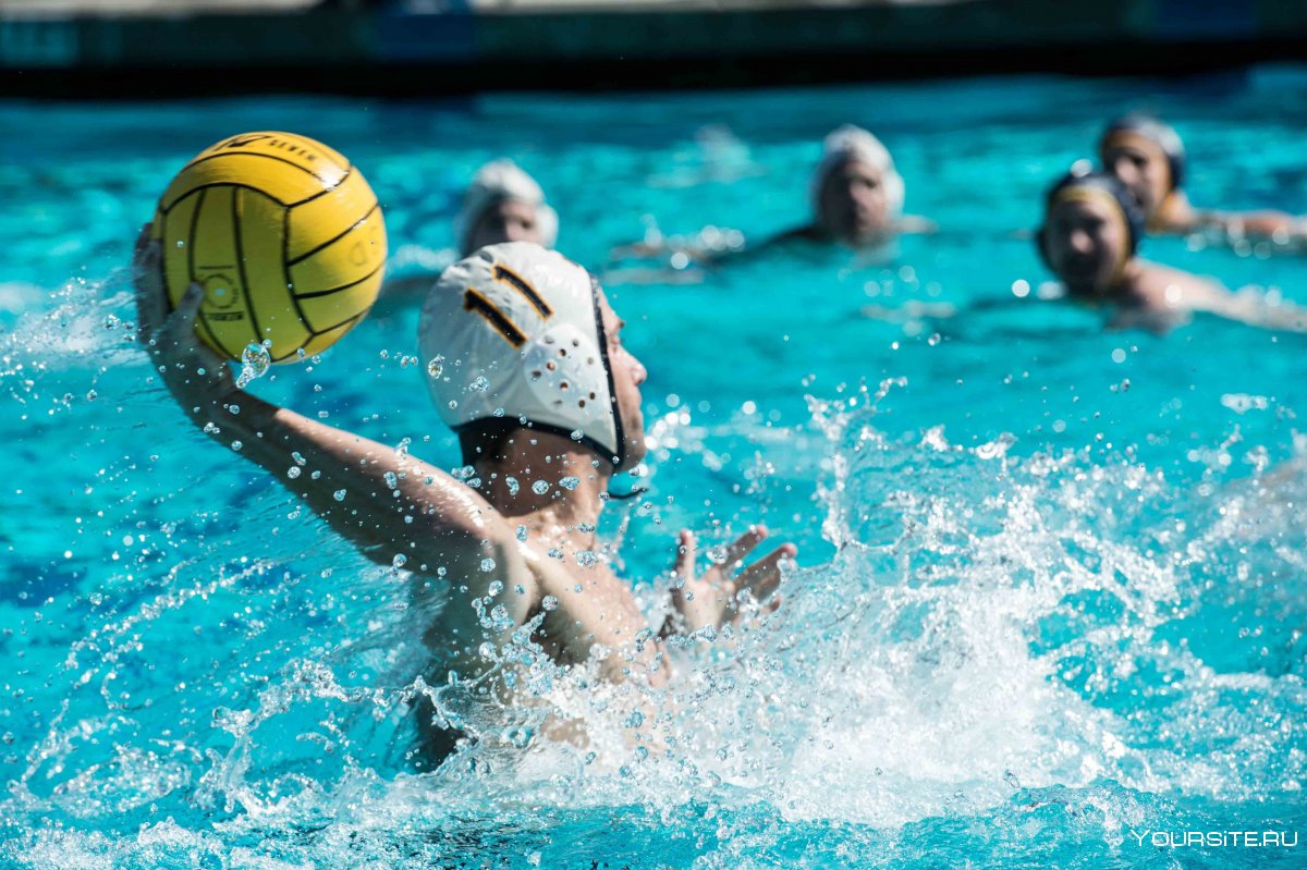 Water Polo Эстетика