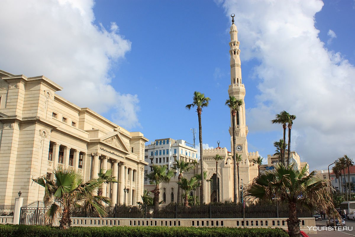 Александрия город в Египте