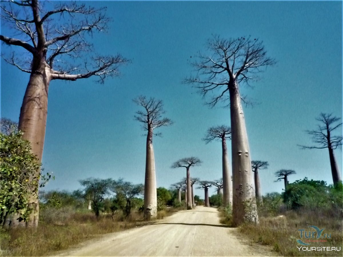 Деревня Ампасилава Мадагаскар