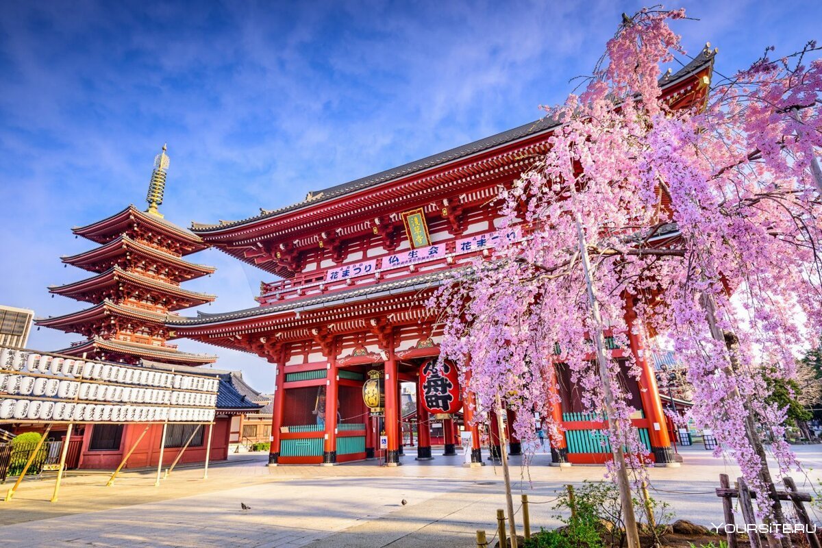 Япония Токио храм Асакуса