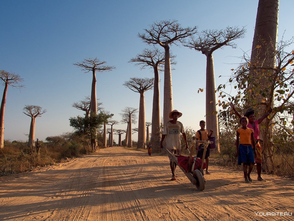 Мадагаскар остров туристы