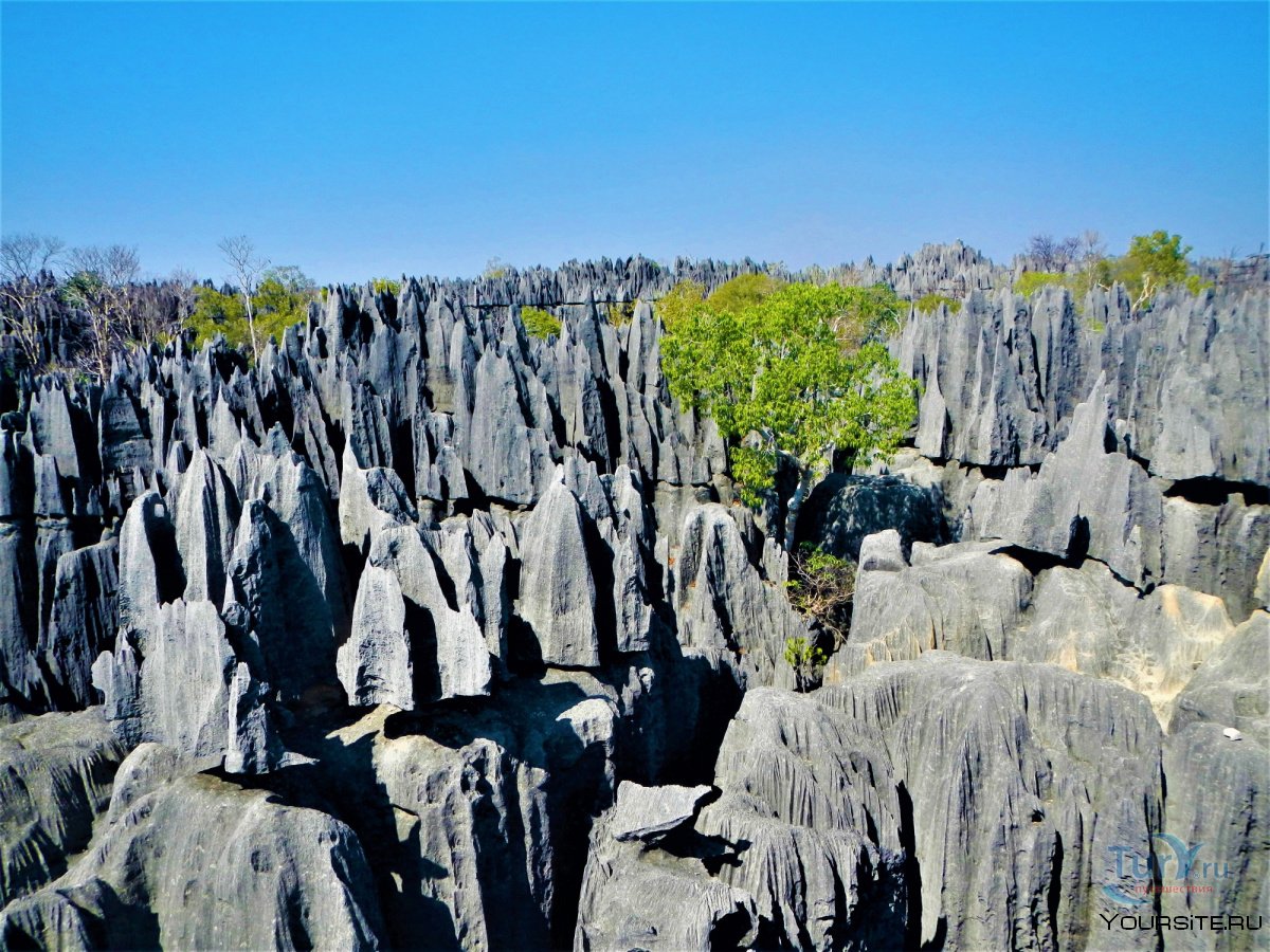Мадагаскар интересные места
