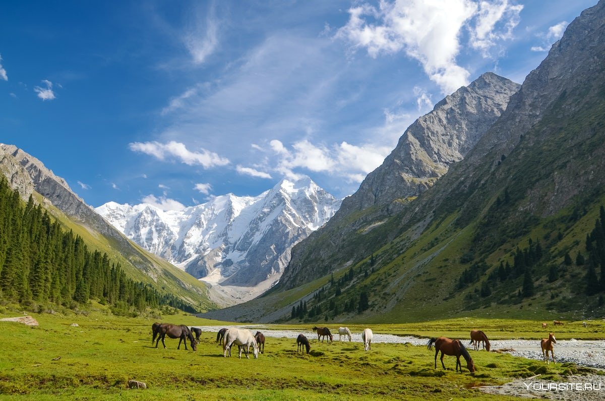 Киргизия ущелье Арашан