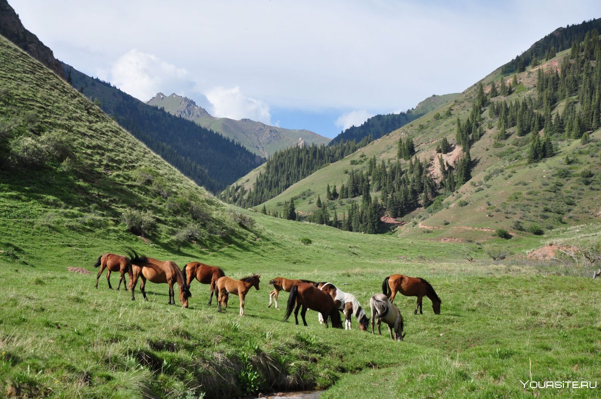 Киргизия и Кыргызстан