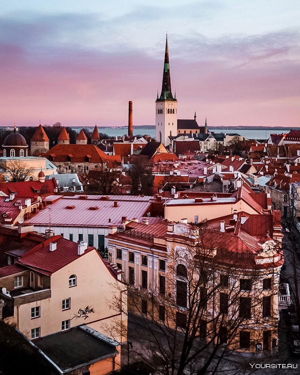 Город Таллин Эстония