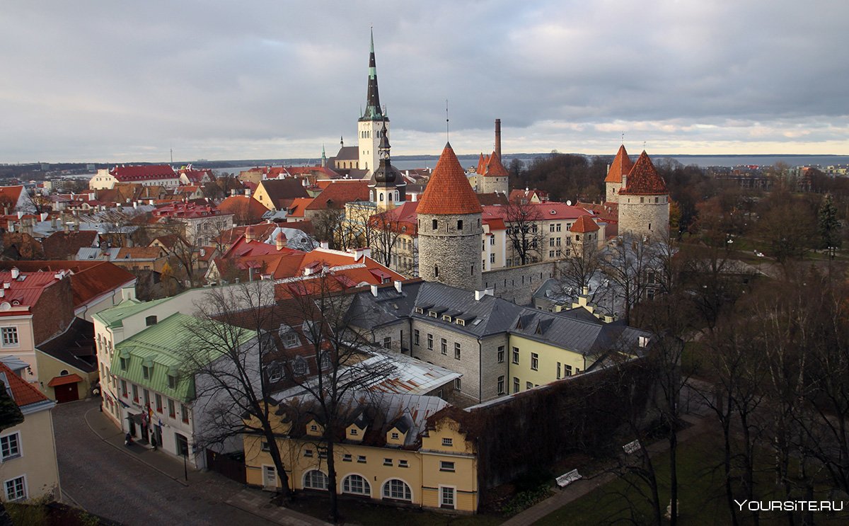 Эстония башня Таллина