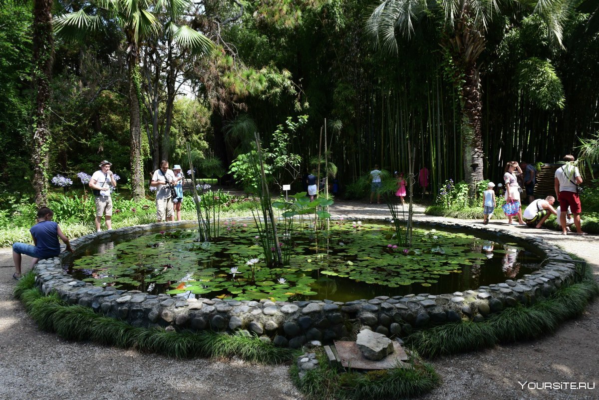 Парк Сухуми Ботанический