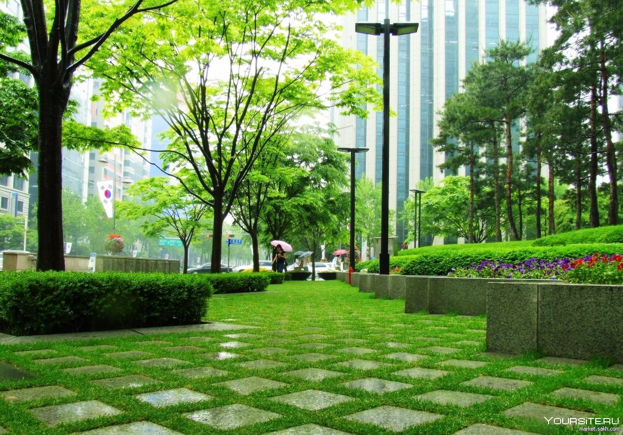 Парк зеленая зона. Green Park Озеленение. Сеул Плаза зеленая зона. Парк Сити-сквер. Грин парк благоустройство.