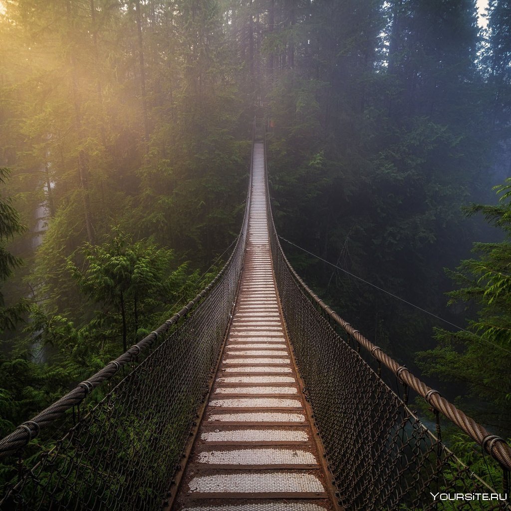 Деревянный мост фэнтези
