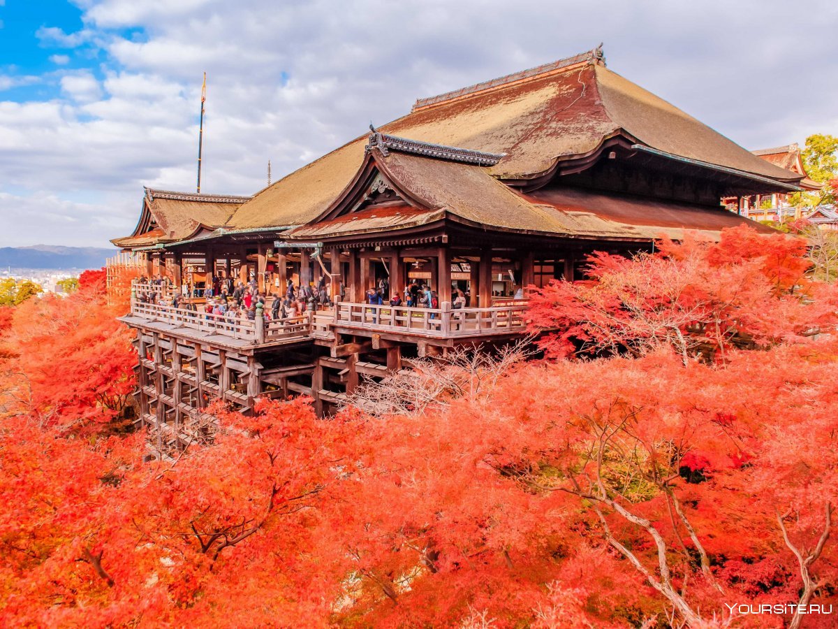 Город Киото храм Киемидзу