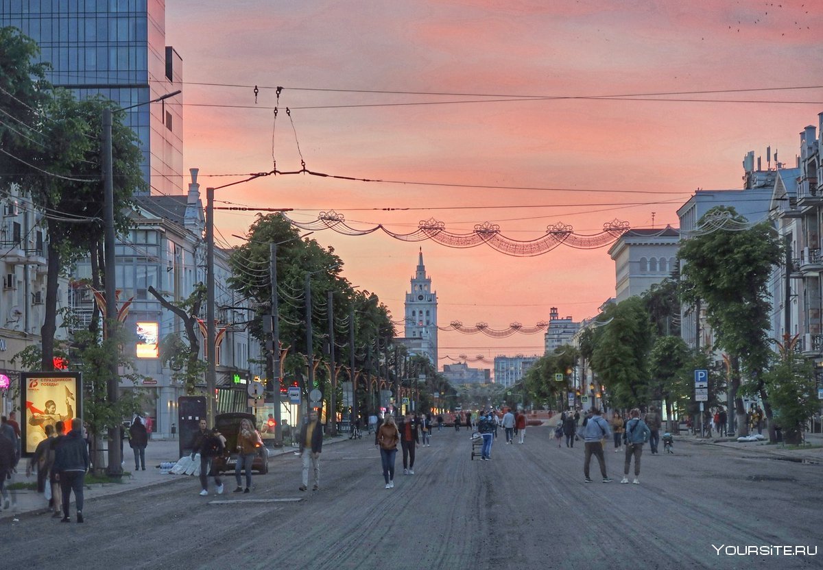 Улица проспект революции в Воронеже