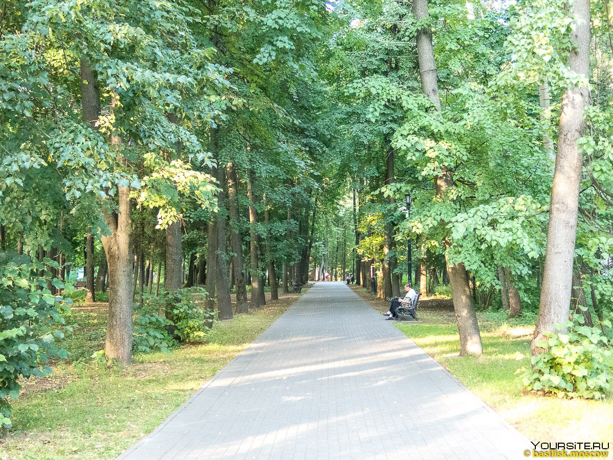 Останкинский парк аллея