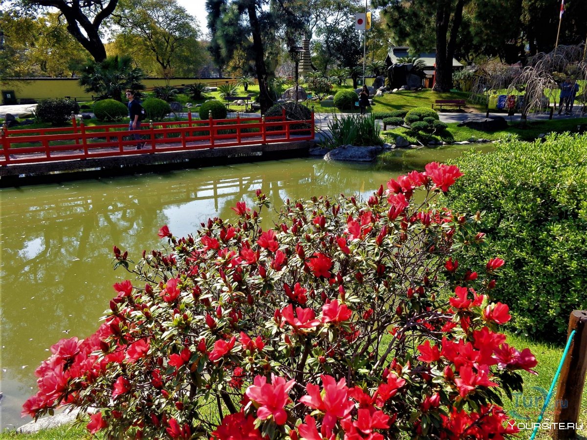 Буэнос-Айресский японский сад Буэнос-Айрес
