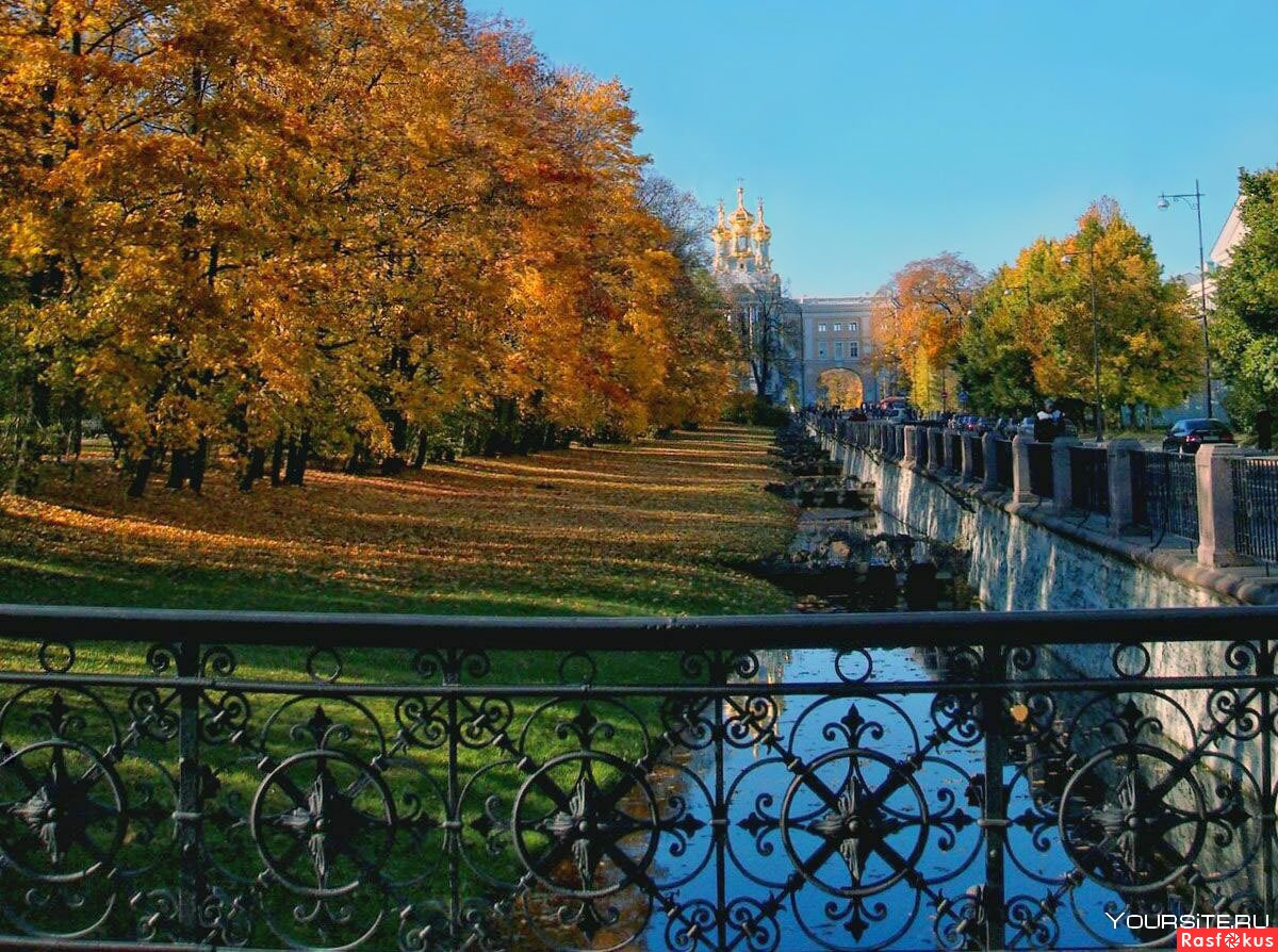Осень в Санкт-Петербурге Пушкин