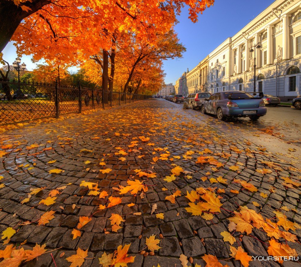 Осень Петербург Гордеев