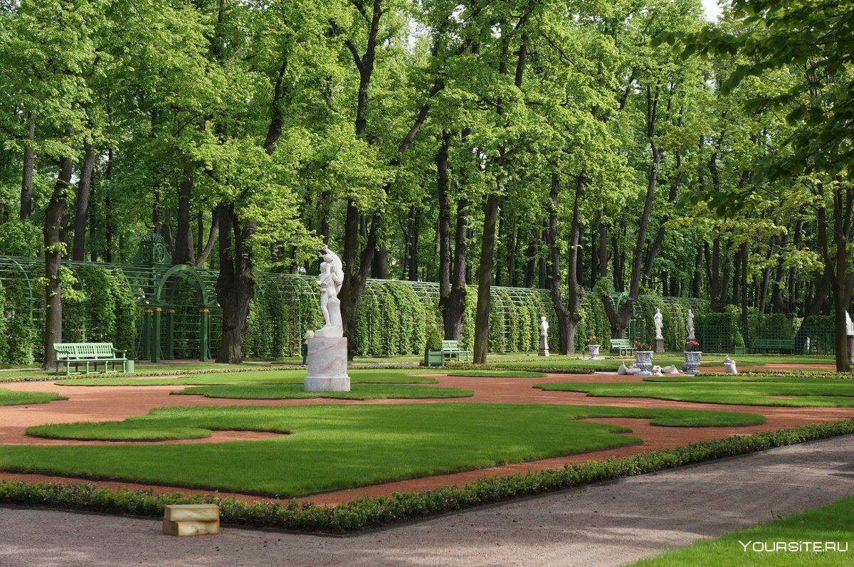Центральная аллея летнего сада в Санкт-Петербурге