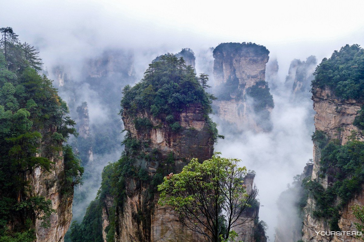 фото национальный парк чжанцзяцзе китай