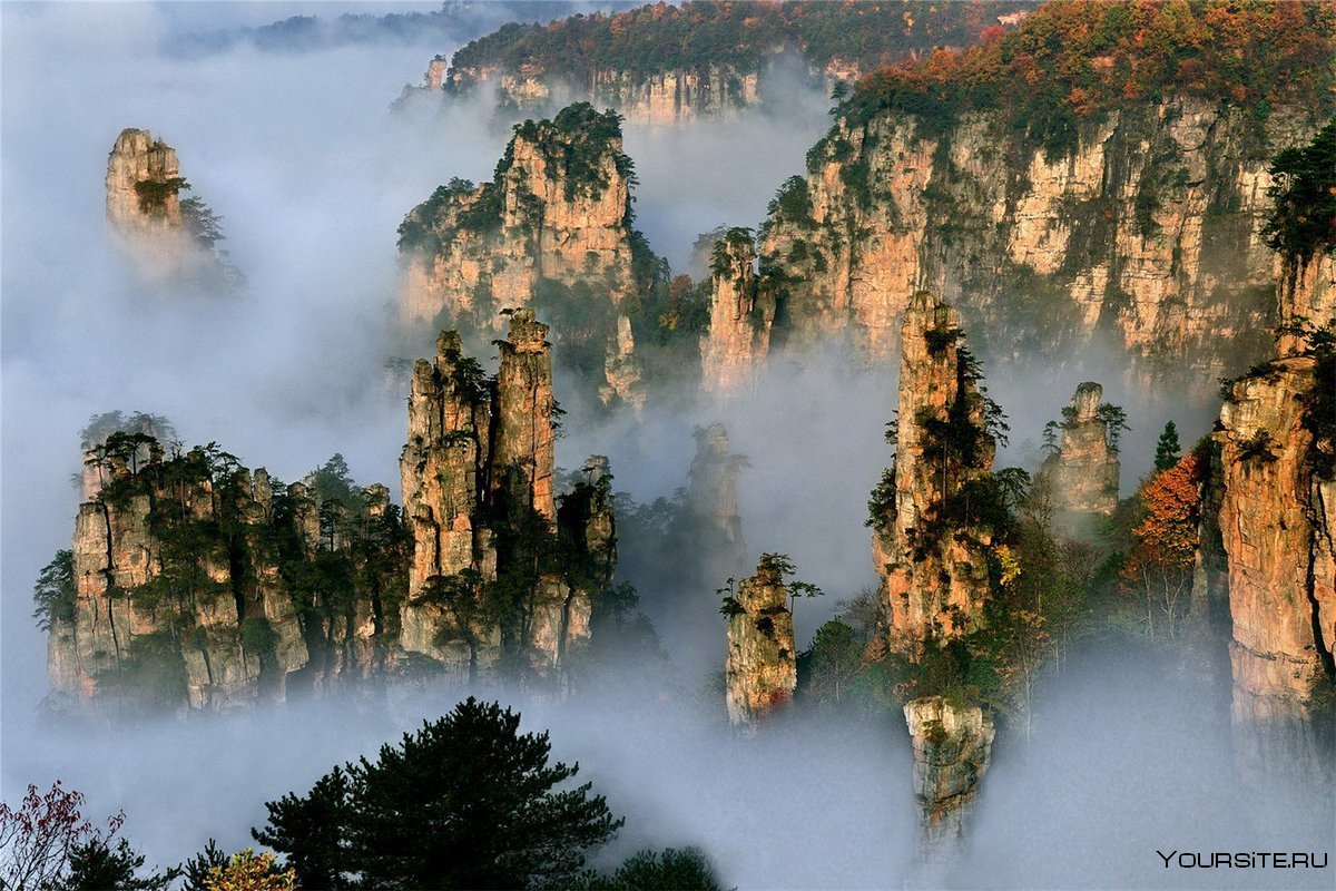 Горы Тяньцзи провинция Хунань Китай
