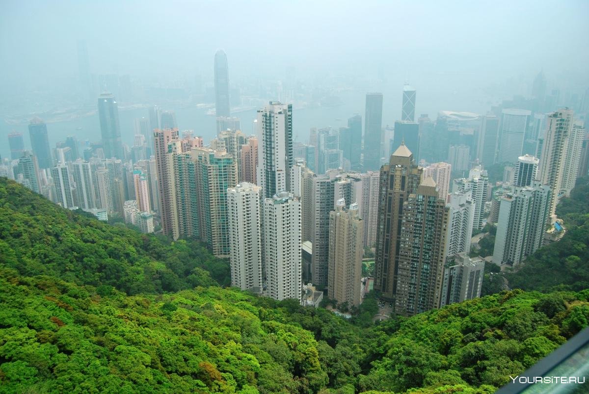 Гонг Конг джунгли