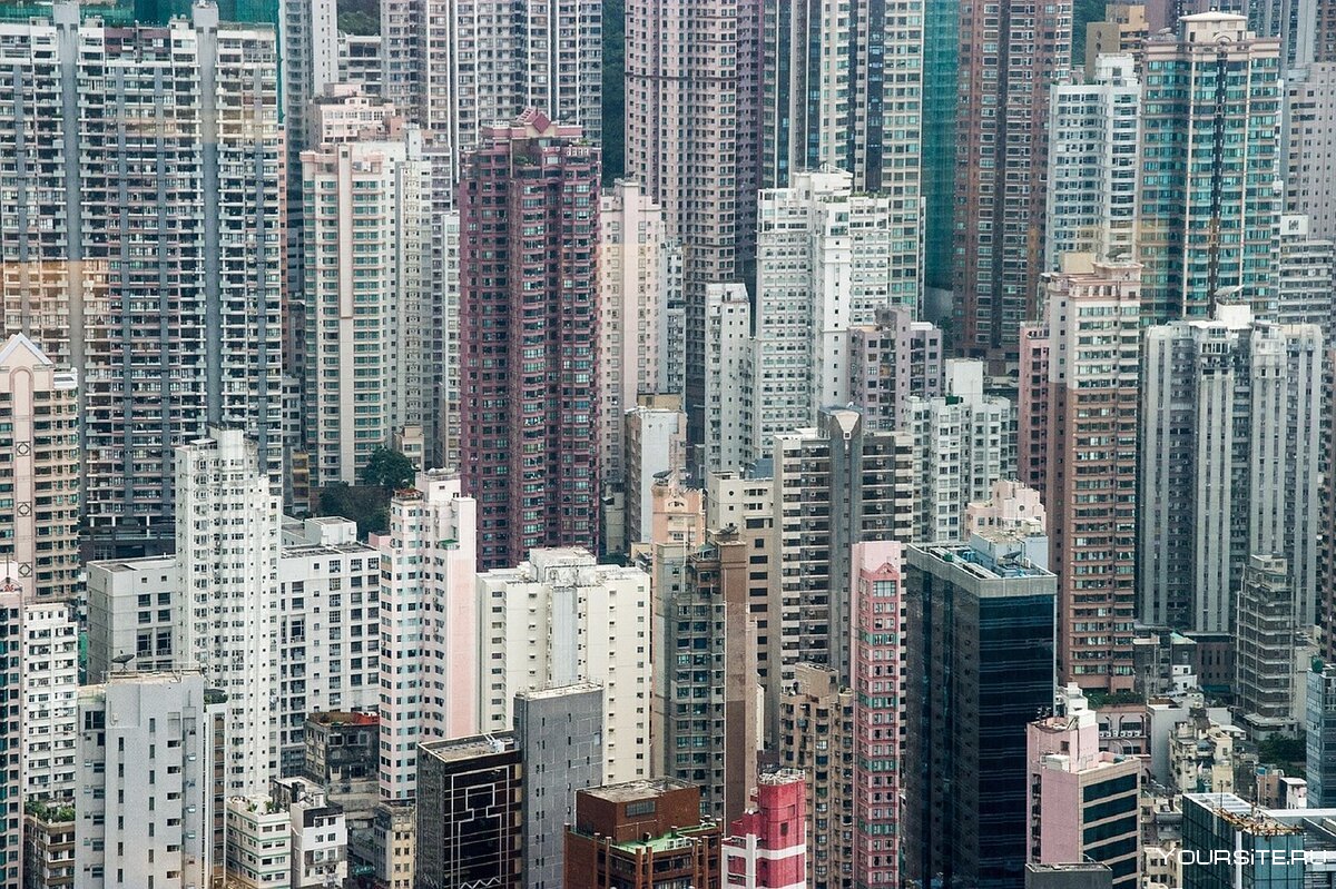 Гонг Конг человейники