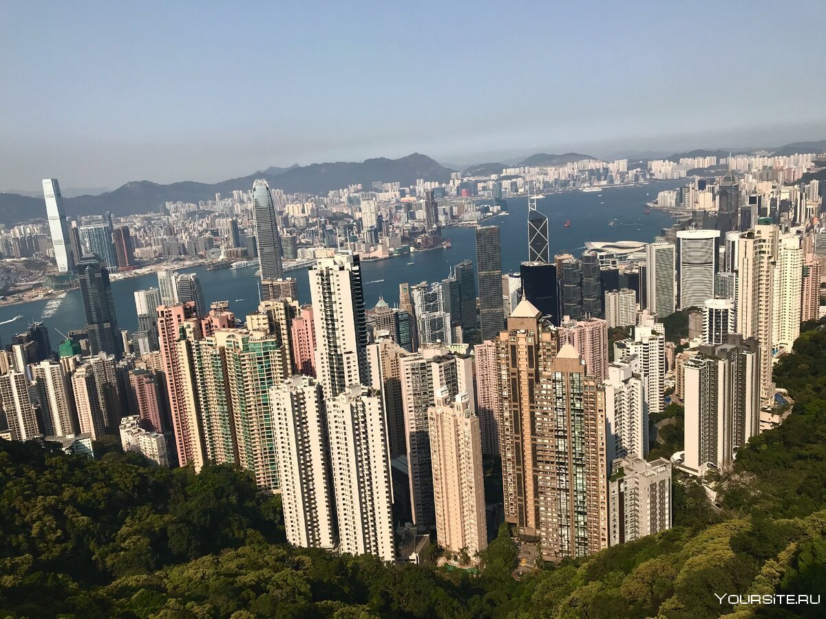 Каменные джунгли Гонконга