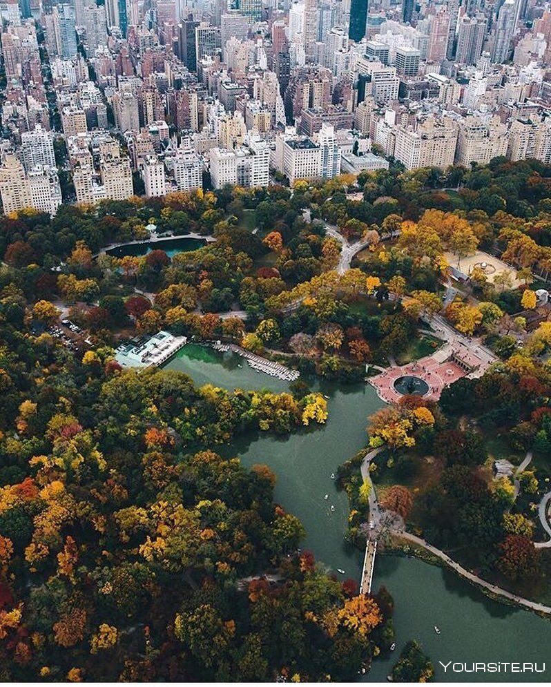 Центральный парк Нью-Йорк