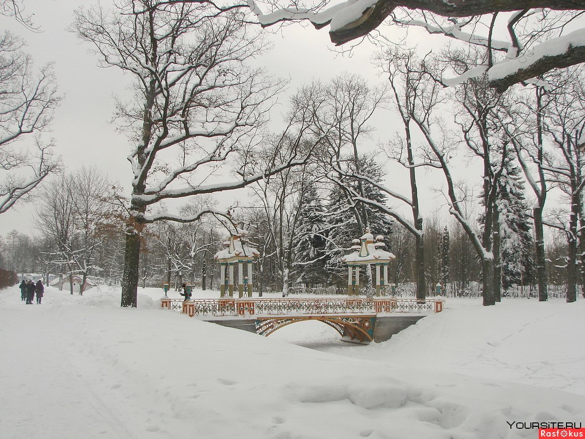 Есенинский парк зимой Санкт-Петербург