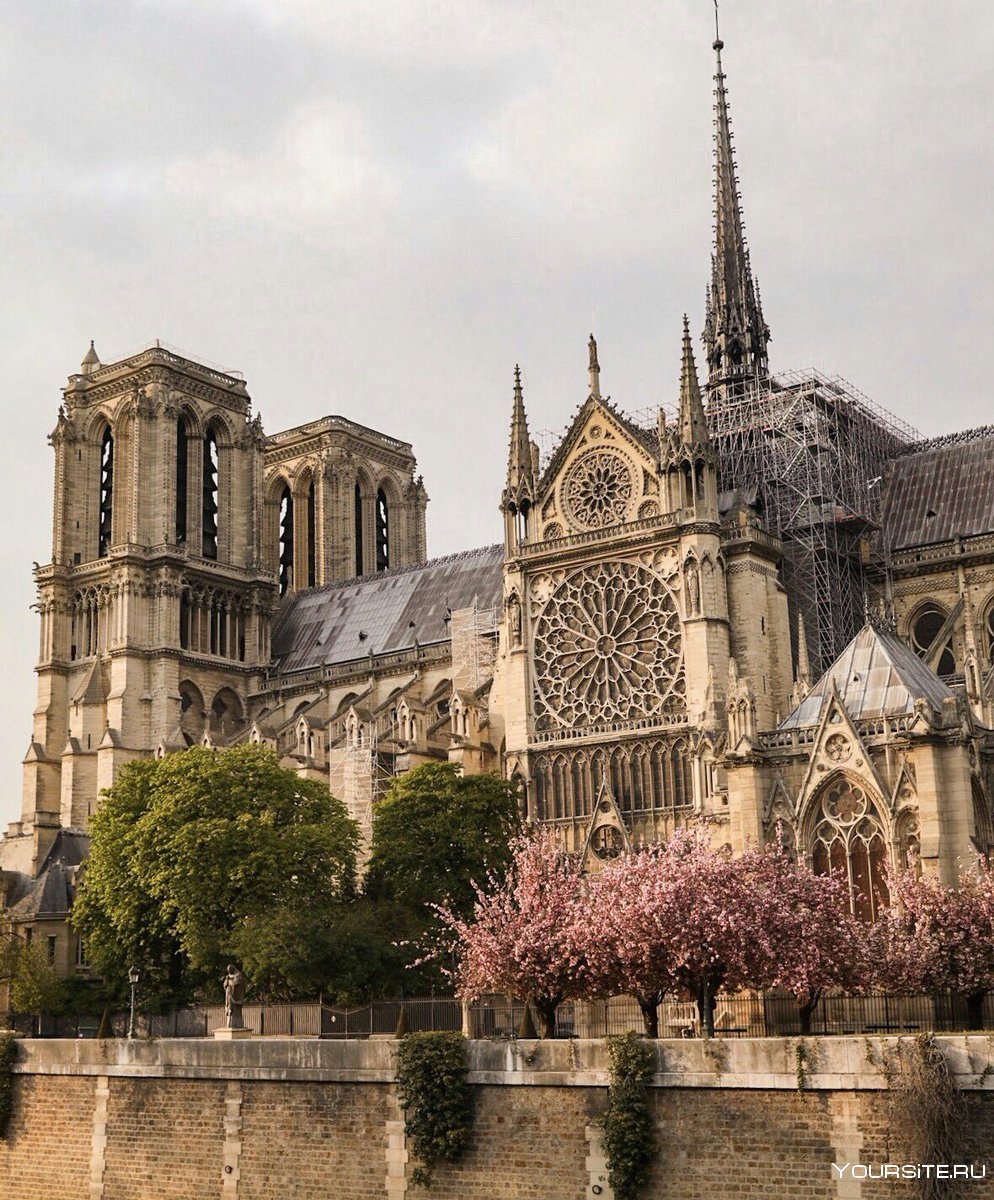 Вид на собор Парижской Богоматери с реки