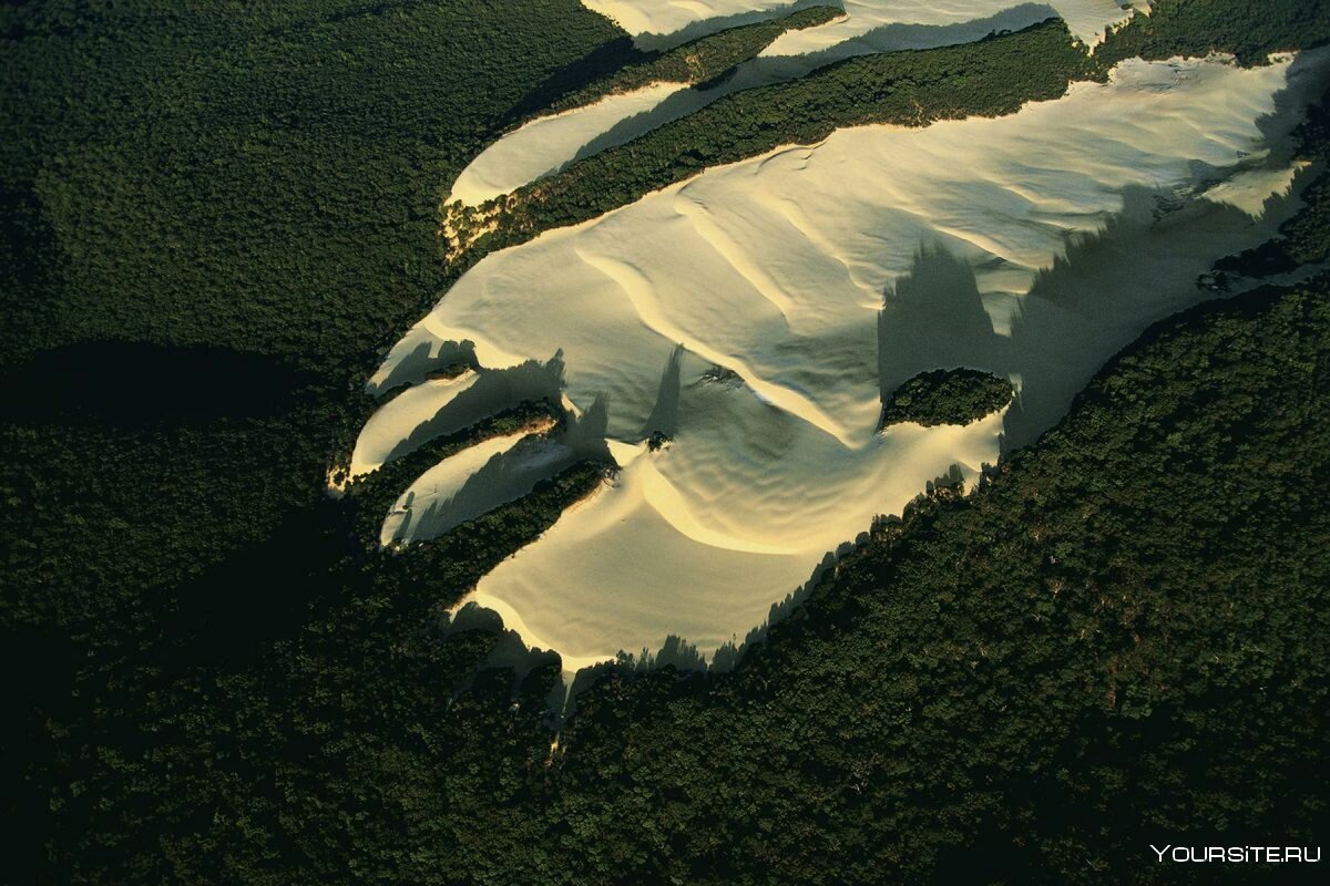 Остров Фрейзер, Квинсленд, Австралия